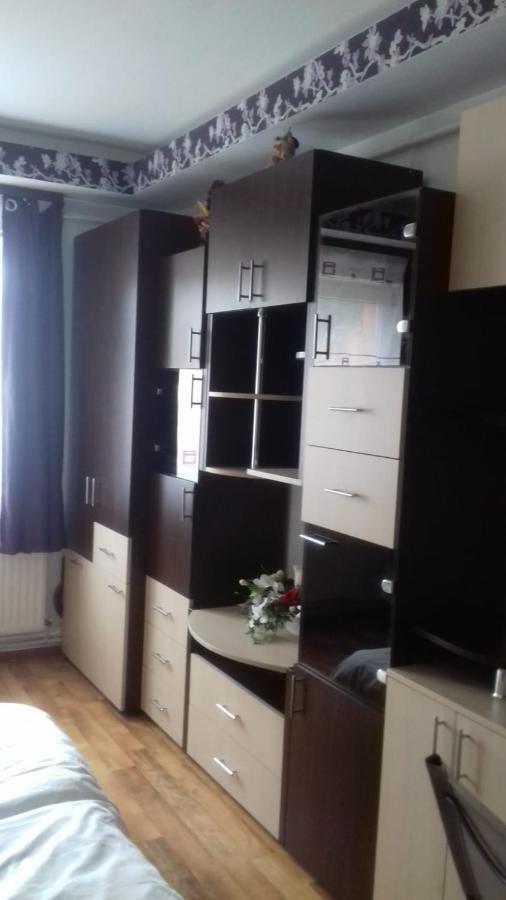 Alexandra 'S Studio Leilighet Braşov Eksteriør bilde